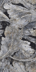 GẠCH 612TMACBLL Vietceramics 60x120cm (Tele Di Marmo Revolution)