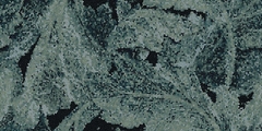 GẠCH 612TMACVEL Vietceramics 60x120cm (Tele Di Marmo Revolution)