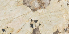 GẠCH 612AFXQ Vietceramics 60x120cm (Marvel Gala)