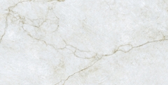 Gạch 612PRGO Vietceramics 60x120cm (Precious)