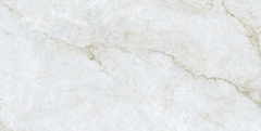 Gạch 612PRGO Vietceramics 60x120cm (Precious)