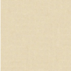 Gạch Granite lát sàn 60×60 – MP60002