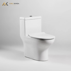 Bồn cầu 1 khối Bravat C21165XUW-3