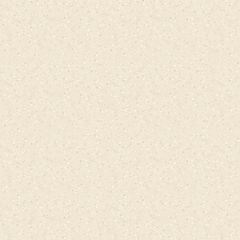 Gạch lát nền Prime 60x60 12008