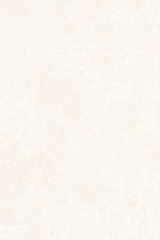 Gạch ốp tường Prime 30x45 09503
