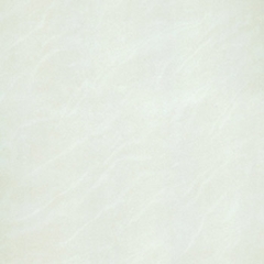 Gạch Taicera 60×60 – P67025N