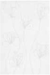 Gạch Đồng Tâm 30x45 IRIS004