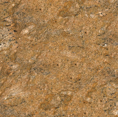 Gạch Catalan 80x80cm 80082
