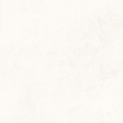 Gạch 80EVEBIA Vietceramics 80x80cm (Everest)