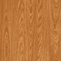 Gạch lát Mikado 50x50 MS5001