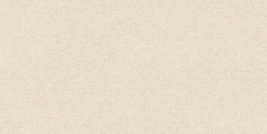 Gạch ốp tường Prime 30x60 09957
