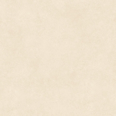 Gạch Ốp Lát Malaysia 60x60 YR5059B