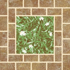 Gạch lát Mikado 40x40 VC4501