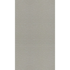 Gạch Taicera 30×60 – G63548
