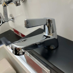 Vòi chậu 1 đường lạnh American Standard WF-T601