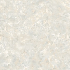 Gạch lát nền Prime 60x60 09805