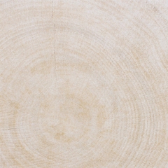 Gạch VietCeramics 30x30 30ABO