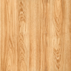 Gạch lát nền Prime 60x60 12003