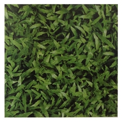 Gạch Đồng Tâm 40×40 – 4040CLG001