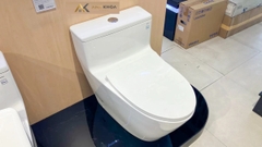 Bồn cầu 1 khối TOTO MS625DT8