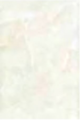 Gạch Đồng Tâm 30x45 HATIEN001
