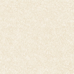 Gạch lát Mikado 50x50 MS5006