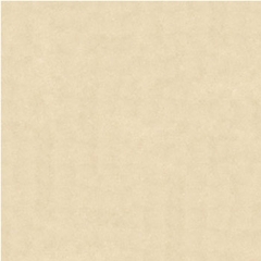 Gạch Granite lát sàn 60×60 – MP60001
