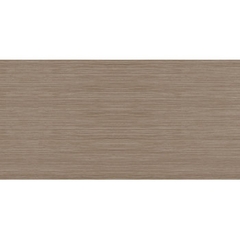 Gạch KIS 50×100 – K105004E-PL