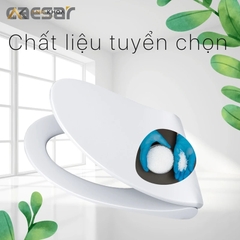Nắp bồn cầu Caesar MS220