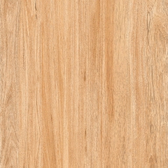 Gạch lát nền Prime 60x60 09854