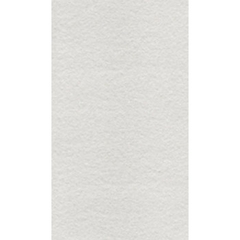 Gạch Taicera 30×60 G63525