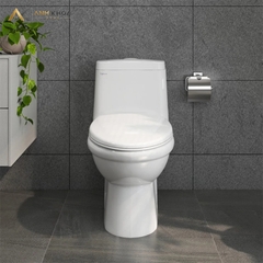 Bồn cầu 1 khối Viglacera BL5
