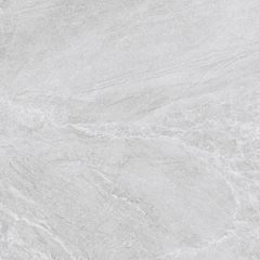 CỬU LONG 6602
