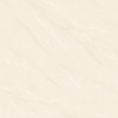 CỬU LONG GP601
