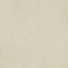 Gạch Taicera 60×60 – P67594N
