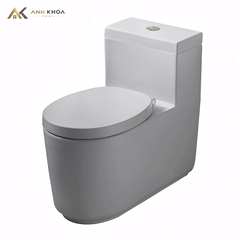 Bồn cầu 1 khối COTTO CPW10007/MWH#GR2