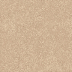 Gạch lát Mikado 40x40 VS4550