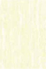 Gạch Đồng Tâm 30x45 NONNUOC001