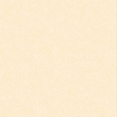 Gạch lát nền Hoàn Mỹ 80×80 33001