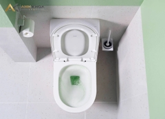 Bồn cầu 1 khối Hansgrohe 22466007/22468007