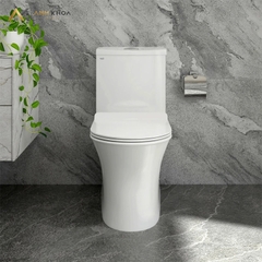 Bồn cầu 1 khối Sanfi S302