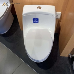 Bồn cầu 1 khối TOTO MS823DRT2