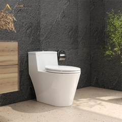 Combo thiết bị vệ sinh Viglacera AK10-4