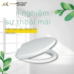 Nắp bồn cầu Caesar MS220