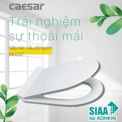 Nắp bồn cầu Caesar MU237