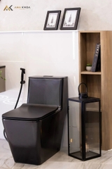 Bồn cầu 1 khối Cotto C1032 MBK