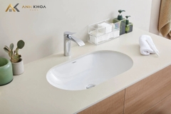 Chậu rửa âm bàn Hansgrohe 22429007