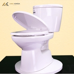 Bồn cầu 2 khối INAX C-306VA
