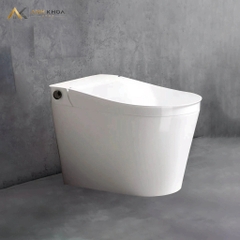 Bồn cầu âm tường Densta DS 501 KK