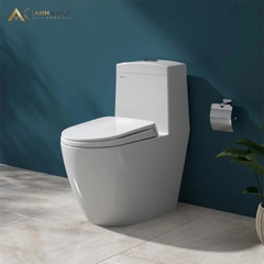 Bồn cầu 1 khối Viglacera V199